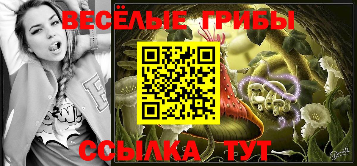 Родники  Псилоцибиновые грибы MAGIC MUSHROOMS  Вход с VPN 