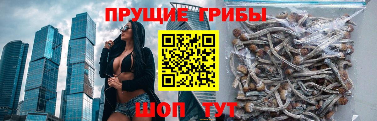 Галлюциногенные грибы Magic Shrooms Родники